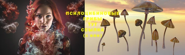 apvp Арсеньев