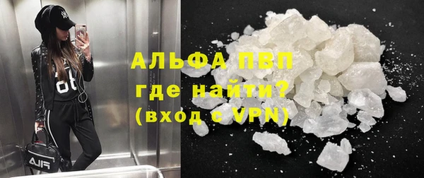 PSILOCYBIN Аркадак