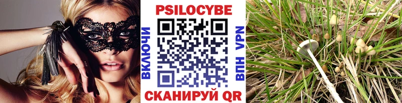 Псилоцибиновые грибы прущие грибы  Купить  Духовщина 